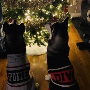 Meet your Posher, Angie